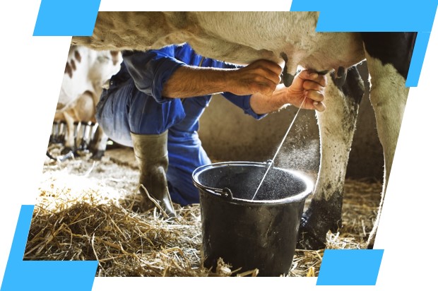 Imagem de destaque do artigo